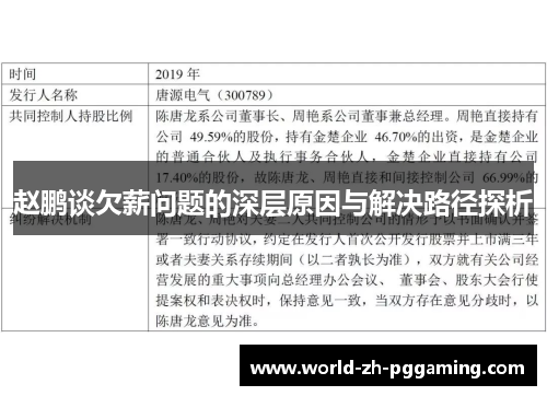 赵鹏谈欠薪问题的深层原因与解决路径探析