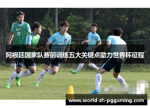阿根廷国家队赛前训练五大关键点助力世界杯征程