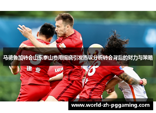 马德鲁加转会山东泰山费用揭晓引发热议分析转会背后的财力与策略